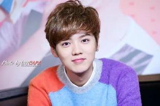 娱乐圈八卦最新爆料鹿晗,娱乐圈再掀波澜！